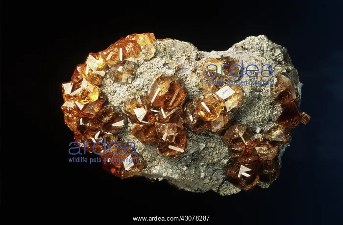 : Garnet. Grossular (garnet) crystals from the Jeffrey Mine in Asbestos, Canada : Garnet. Grossular (garnet) crystals from the Jeffrey Mine in Asbestos, Canada