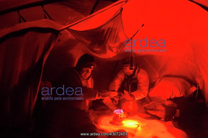 : Gas heating stove : Gas heating stove