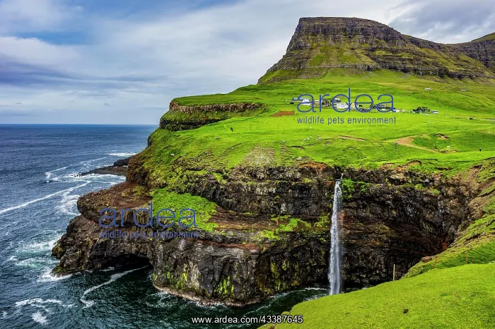 : Gasadalur waterfall into the ocean, Vagar, Faroe : Gasadalur waterfall into the ocean, Vagar, Faroe