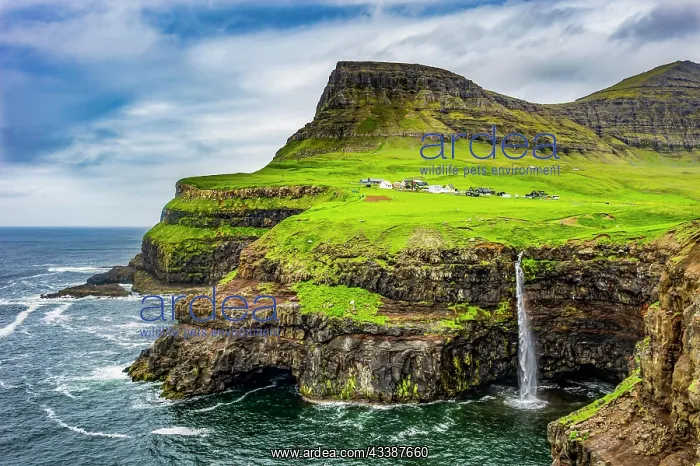 : Gasadalur waterfall into the ocean, Vagar, Faroe : Gasadalur waterfall into the ocean, Vagar, Faroe