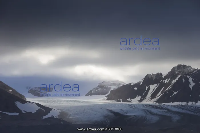 : Gasbreen glacier in Gashamna Bay - Hornsund - : Gasbreen glacier in Gashamna Bay - Hornsund -