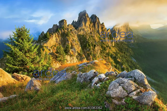 : Gastlosen, Fribourg Pre-Alps, Switzerland, Europe : Gastlosen, Fribourg Pre-Alps, Switzerland, Europe