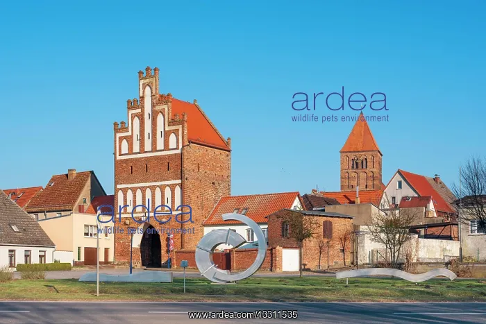 : Mill Gate and Church of St. Thomas in Tribsees : Mill Gate and Church of St. Thomas in Tribsees