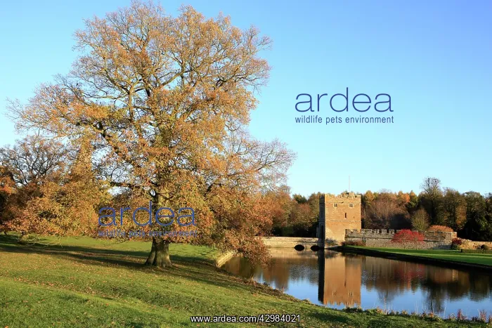 : Gatehouse and Moat of Broughton Castle : Gatehouse and Moat of Broughton Castle