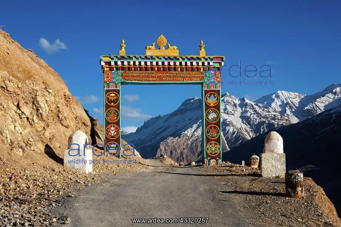 : Gates of Ki Kee Key Buddhist monastery gompa in : Gates of Ki Kee Key Buddhist monastery gompa in