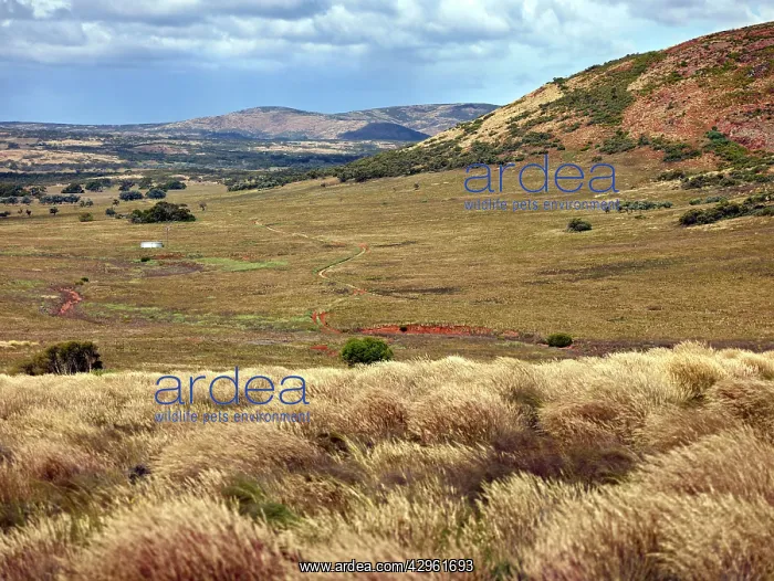: Gawler Ranger National Park : Gawler Ranger National Park