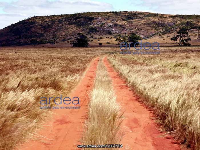: Gawler Ranger National Park : Gawler Ranger National Park