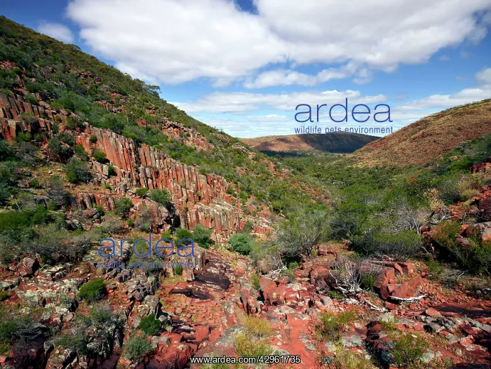  : Gawler Ranger National Park