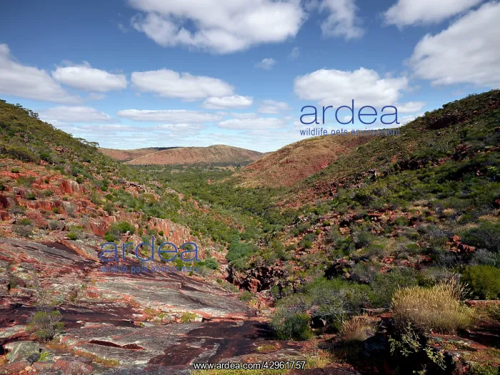  : Gawler Ranger National Park