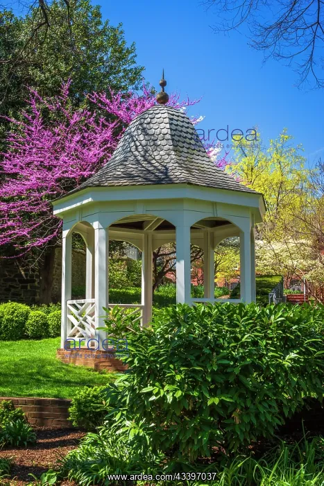 : Gazebo and garden, Alexandria, Virginia, USA : Gazebo and garden, Alexandria, Virginia, USA