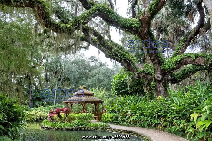 : Gazebo at Washington Oaks Gardens State Park, Palm : Gazebo at Washington Oaks Gardens State Park, Palm