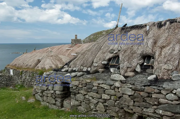 : Gearrannan Blackhouse Village - Restored thatched cottages : Gearrannan Blackhouse Village - Restored thatched cottages