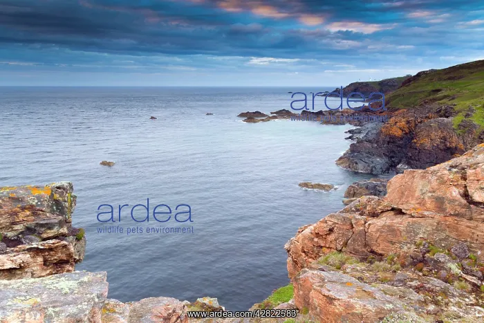 : Geevor - view towards Pendeen : Geevor - view towards Pendeen