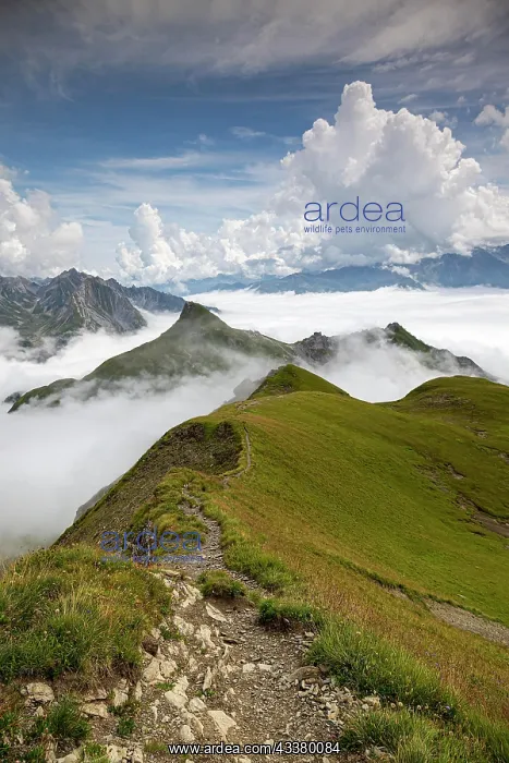 : The Gehrengrat above the clouds of Lech and Zars : The Gehrengrat above the clouds of Lech and Zars