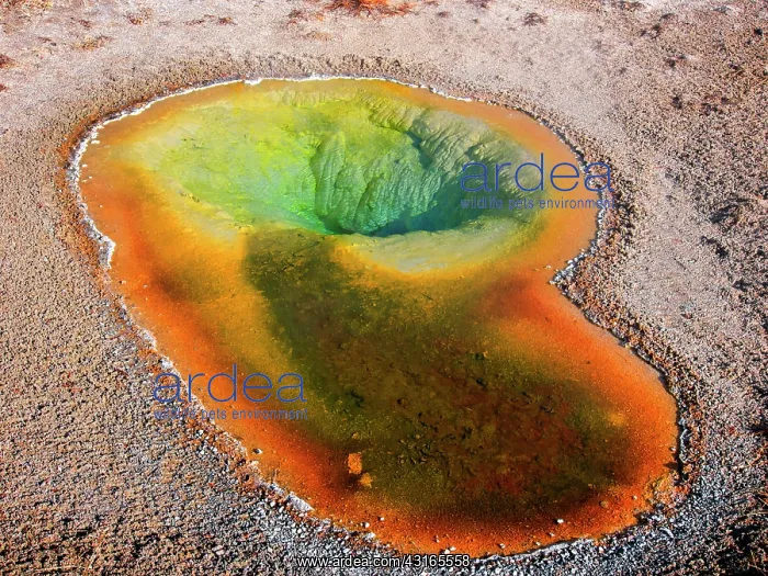 : Geisher Basin : Geisher Basin
