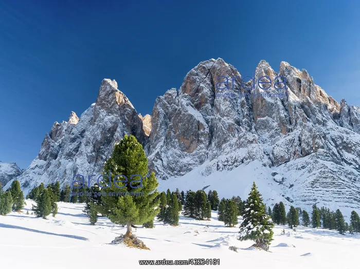 : Geisler Mountain Range or Gruppo delle Odle : Geisler Mountain Range or Gruppo delle Odle
