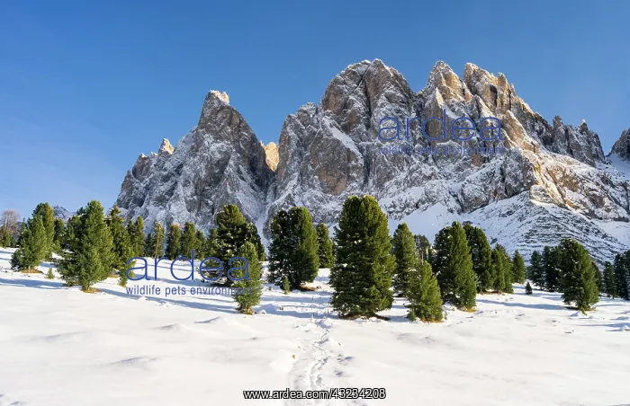 : Geisler Mountain Range or Gruppo delle Odle : Geisler Mountain Range or Gruppo delle Odle