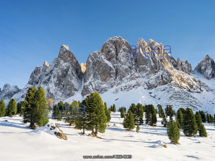 : Geisler Mountain Range or Gruppo delle Odle : Geisler Mountain Range or Gruppo delle Odle