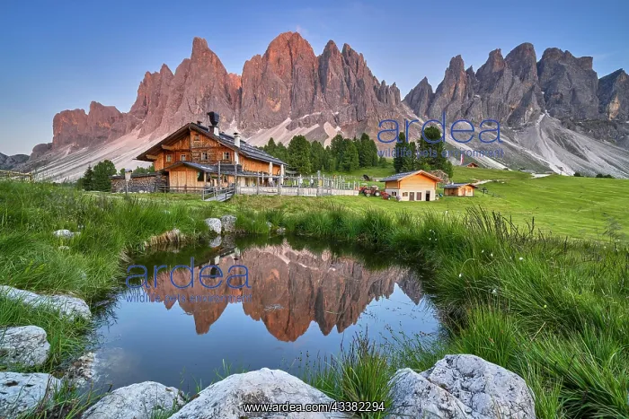: Geisleralm with Geisler group and alpenglow, reflection : Geisleralm with Geisler group and alpenglow, reflection