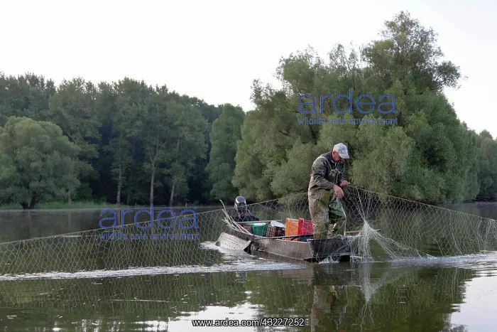 : The Gemenc Forest in the Danube-Drava National : The Gemenc Forest in the Danube-Drava National