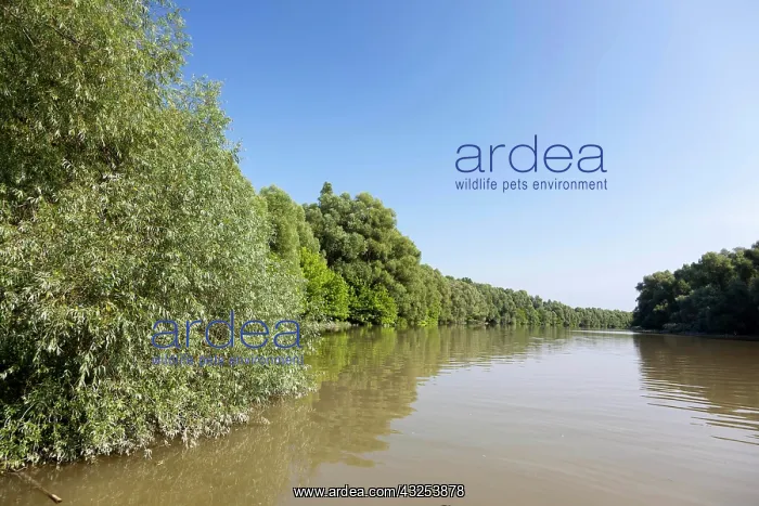 : The Gemenc Forest in the Danube-Drava National : The Gemenc Forest in the Danube-Drava National