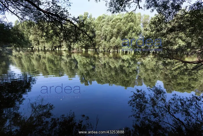 : The Gemenc Forest in the Danube-Drava National : The Gemenc Forest in the Danube-Drava National