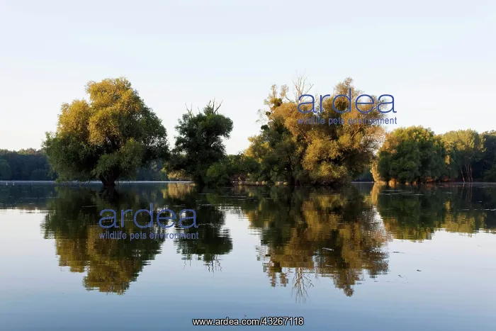 : The Gemenc Forest in the Danube-Drava National : The Gemenc Forest in the Danube-Drava National