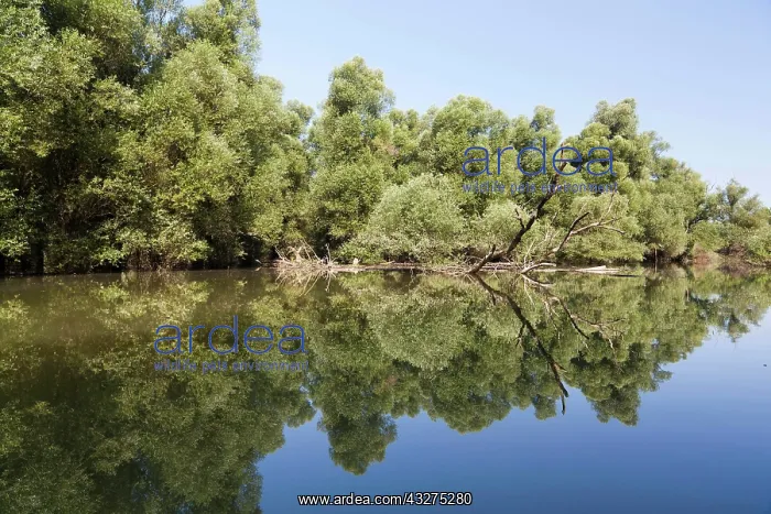 : The Gemenc Forest in the Danube-Drava National : The Gemenc Forest in the Danube-Drava National