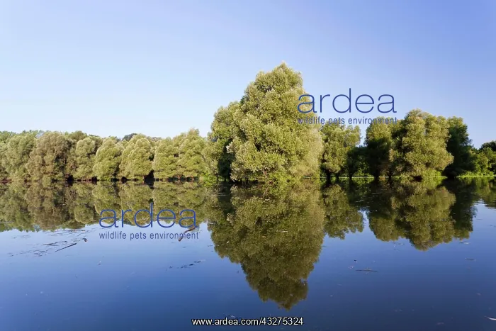 : The Gemenc Forest in the Danube-Drava National : The Gemenc Forest in the Danube-Drava National