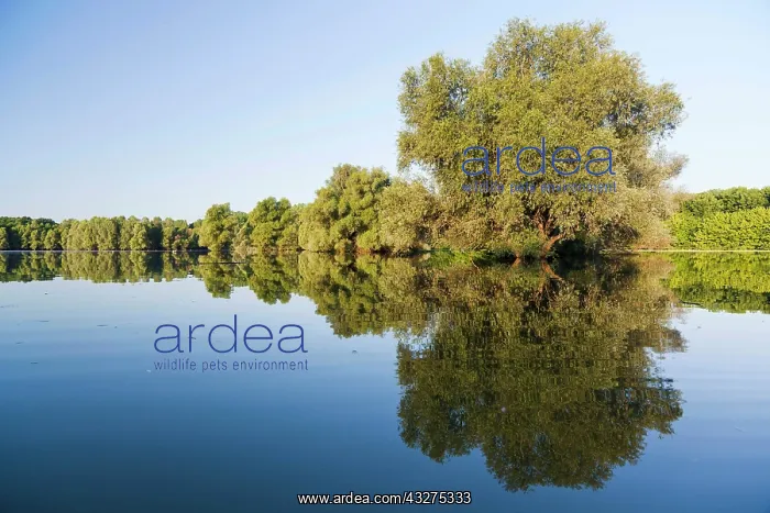 : The Gemenc Forest in the Danube-Drava National : The Gemenc Forest in the Danube-Drava National