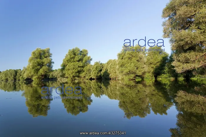: The Gemenc Forest in the Danube-Drava National : The Gemenc Forest in the Danube-Drava National