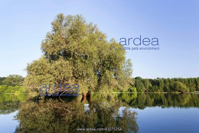  : The Gemenc Forest in the Danube-Drava National