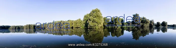 : The Gemenc Forest in the Danube-Drava National : The Gemenc Forest in the Danube-Drava National