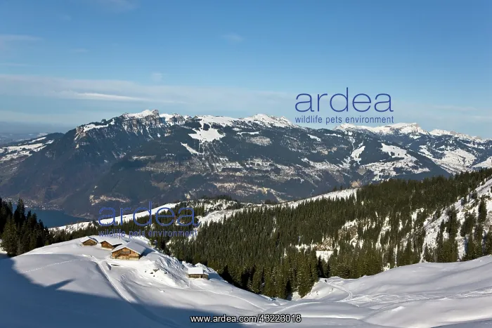: Gemmenalphorn in the Bernese Alps seen from : Gemmenalphorn in the Bernese Alps seen from