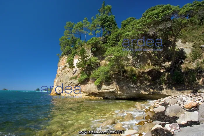: Gemstone Bay - romantic and secluded bay along : Gemstone Bay - romantic and secluded bay along