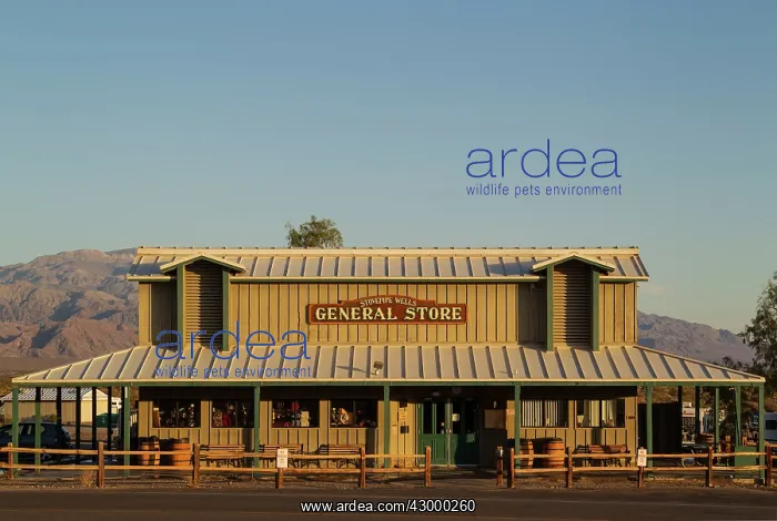  : The general store of the Stovepipe Wells Village