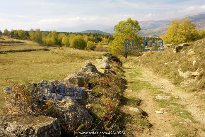 : General view of high plateau in east Pyrenees : General view of high plateau in east Pyrenees