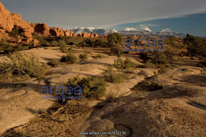 : General view across 'The Windows' area towards : General view across 'The Windows' area towards