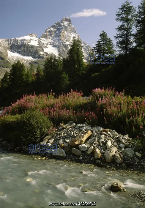 : Geo. Italien, Aostatal, Valtournanche, Landschaften : Geo. Italien, Aostatal, Valtournanche, Landschaften