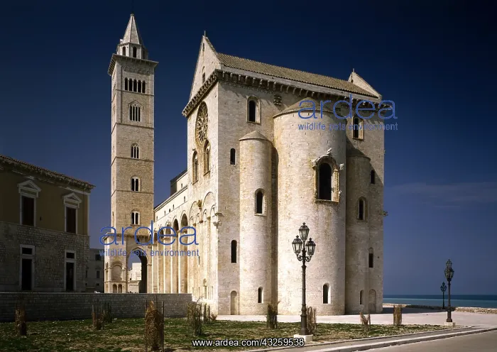 : Geo. Italien, Apulien, St&x4934;e, Trani : Geo. Italien, Apulien, St&x4934;e, Trani