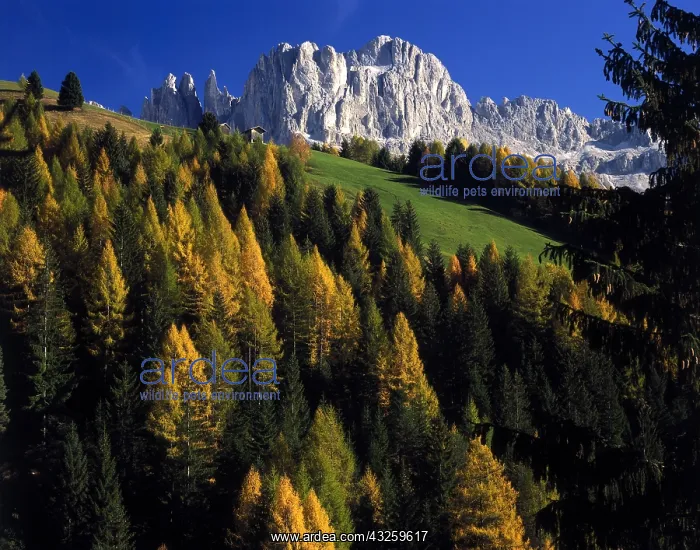 : Geo. Italien, Dolomiten : Geo. Italien, Dolomiten