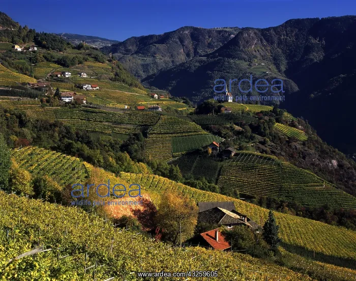 : Geo. Italien, Landschaften : Geo. Italien, Landschaften