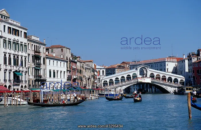 : Geo. Italien, Venezien / Venetien, Venedig, Gondeln : Geo. Italien, Venezien / Venetien, Venedig, Gondeln