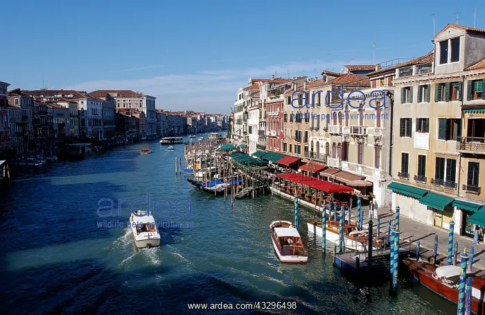 : Geo. Italien, Venezien / Venetien, Venedig, Gondeln : Geo. Italien, Venezien / Venetien, Venedig, Gondeln