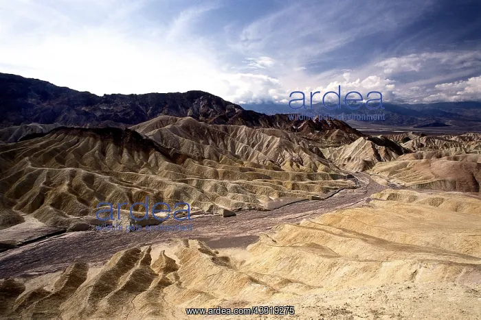 : Geo. USA, Californien, Death Valley, Tal des Todes : Geo. USA, Californien, Death Valley, Tal des Todes