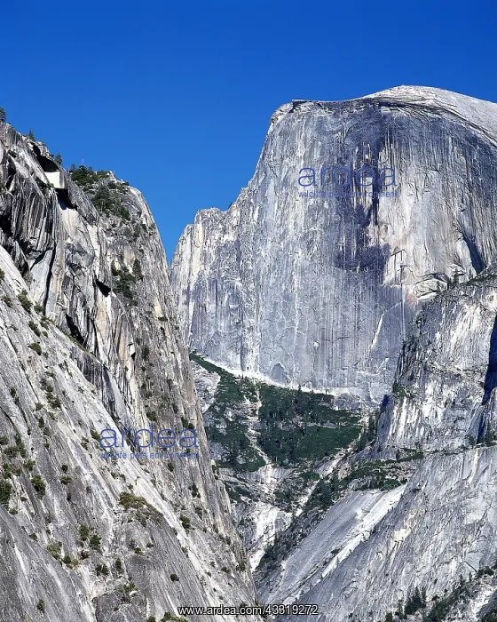 : Geo. USA, Californien, Yosemite National Park : Geo. USA, Californien, Yosemite National Park