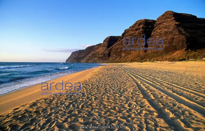 : Geo. USA, Hawaii, Insel Kauai, Strand, Polihale : Geo. USA, Hawaii, Insel Kauai, Strand, Polihale