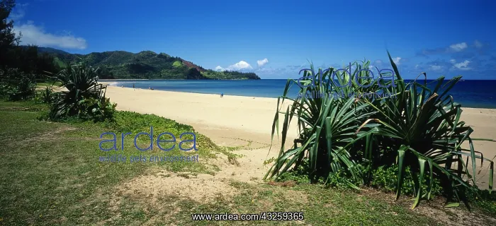 : Geo. USA, Hawaii, Kauai, Strand von Hanalei : Geo. USA, Hawaii, Kauai, Strand von Hanalei