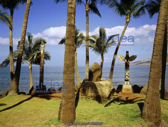 : Geo. USA, Hawaii, Maui, historisches Grab am Strand : Geo. USA, Hawaii, Maui, historisches Grab am Strand