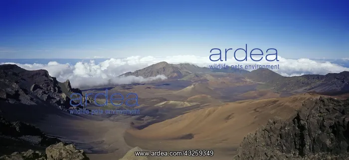 : Geo. USA, Hawaii, Maui, Kraterlandschaft : Geo. USA, Hawaii, Maui, Kraterlandschaft